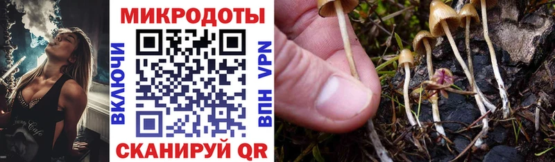 Купить  Сердобск  Псилоцибиновые грибы GOLDEN TEACHER 