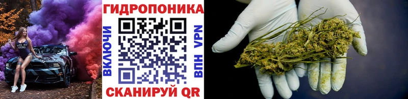 МАРИХУАНА сатива Сердобск